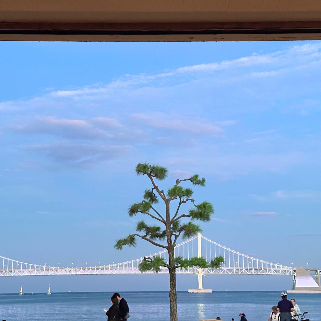 Gwangan Bridge and the sea under a blue sky, seen from the café with a pine tree in the middle