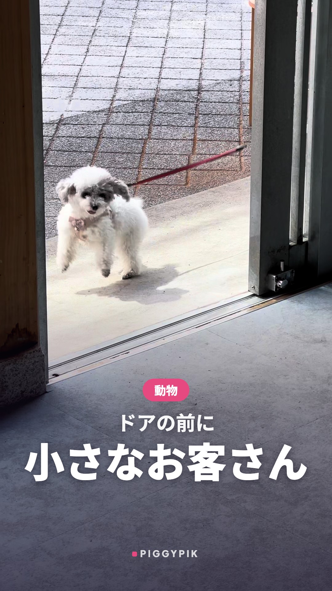 ドアの前の小さなお客さん